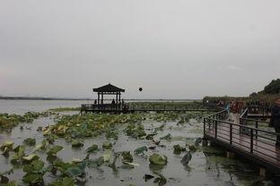 莲花岛,自然奇观与人文荟萃的世外桃源