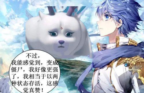 执于你的躯体我的魂灵,躯壳与灵魂的交融之旅